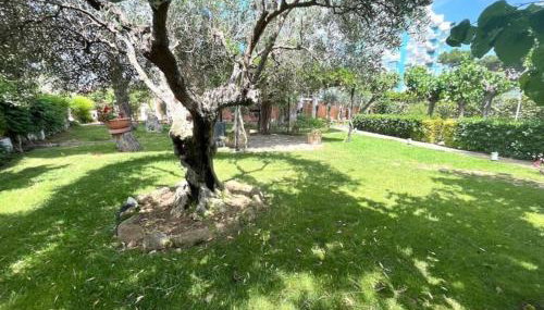 Apartamento Platja d’Aro · 2 dormitorios con pisci - Foto 3, Garden view