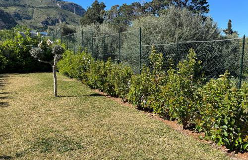 Villa Simo - Foto 21