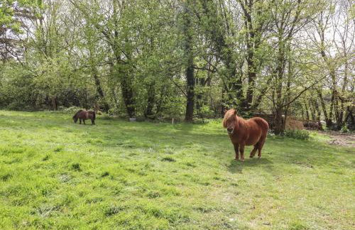 Sunset Cottage - Foto 36