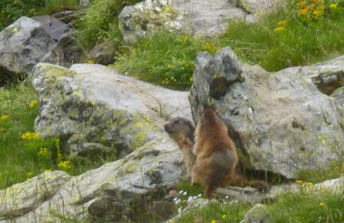 Skis aux pieds station 1600 Sun Vallée - Foto 41