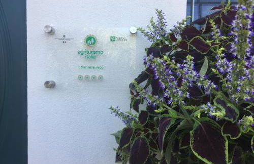 agriturismo" il glicine bianco" - Foto 21