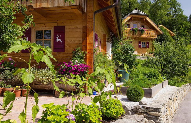 Chalet in Wildkogel Near Ski Slopes - Foto 17