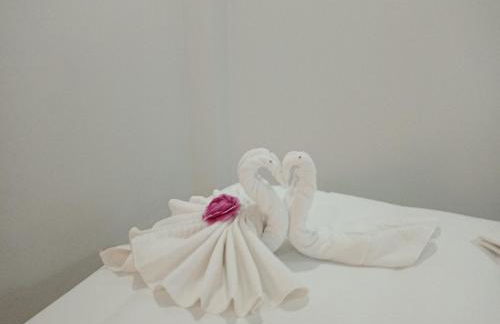 O Salgueiro - Foto 17