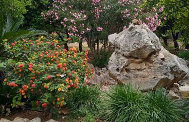 Alegria house with gardens near portoheli - Foto 71