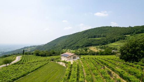 Agriturismo Pietra Sorgente - Foto 3