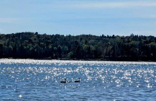 Secluded Oceanfront Cottage with Wrap-Around Deck near Acadia National Park, Sullivan, Maine - Photo 48
