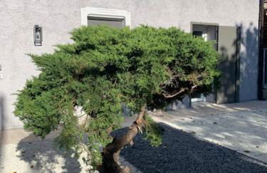 Magnolia Country House - Foto 11