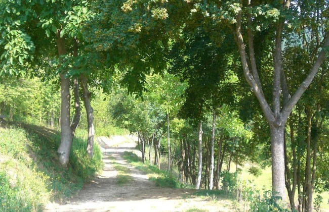 Spacious Home With Pool - Foto 42