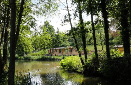 Kingfisher - Foto 19