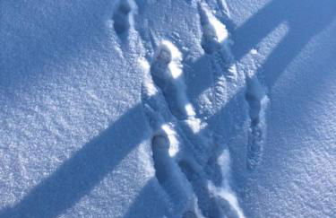 Haus an Fluss und See - Foto 59