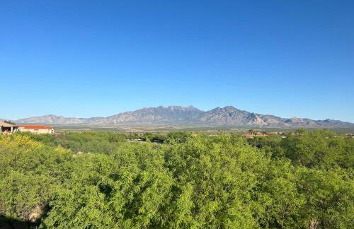 55 Plus 2-bedroom, 2-bathroom Townhouse in The Springs at Santa Rita - Foto 69