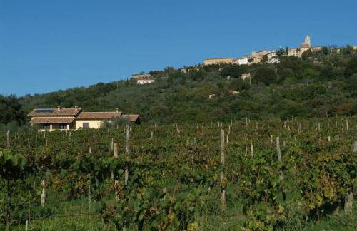 wine apartment le sedici - Foto 12