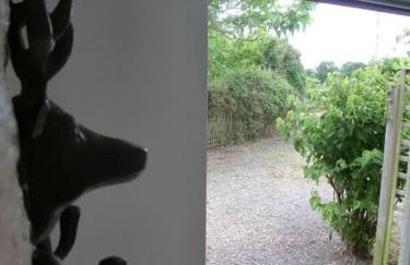 Cosy cottage in rural Culmington, Ludlow - Photo 27