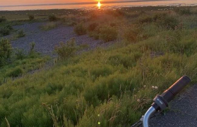Blauort in Friedrichskoog-spitze - Foto 30