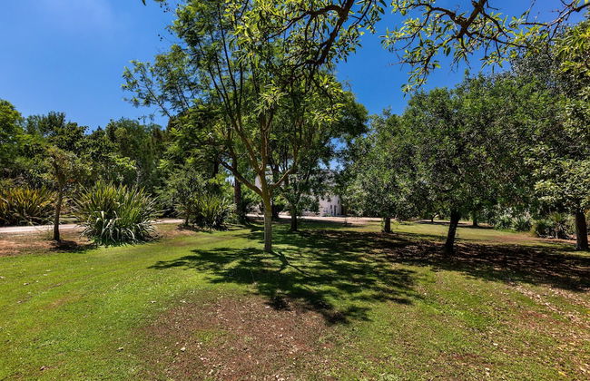 Villa Casablanca - Foto 59