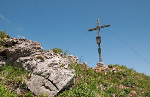 Almbauernhof - Foto 30