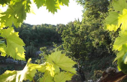 Holiday Home Loznati - Foto 46