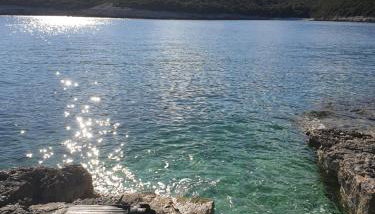 villa flores - Foto 3