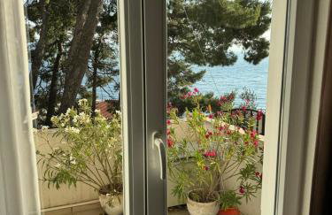 Apartments Domani - Foto 42