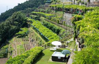 Limoneto Di Ercole - Foto 77