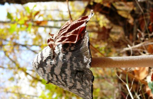 Petrini Gonia - Foto 26