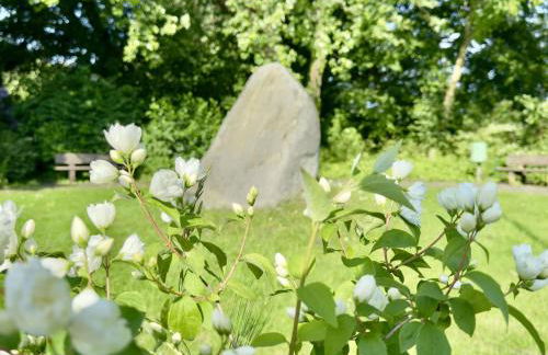 Haus Meerzeit - Altfunixsiel - Foto 37