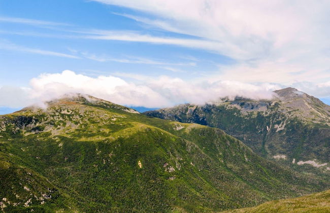 Bearfoot Lodge - Photo 46