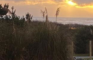 Periwinkle - Foto 19