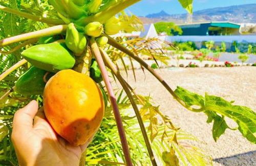 Lykke Suite Spa Piscina y Jardín by Deihu Experiences - Foto 76