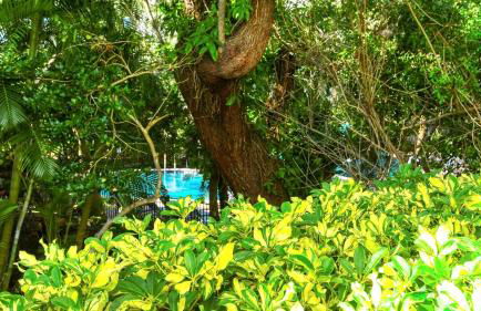 1255-101 Refreshing Bay Retreat - Foto 24