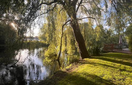 Riverside Studio - Foto 21