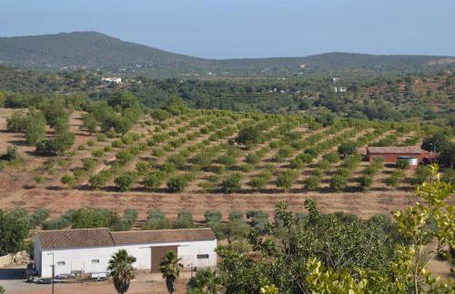 Casa do Bairro - A Gema escondida da Santa Catarina da Fonte do Bispo - Foto 43