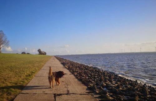 Hübsches Haus - Foto 27