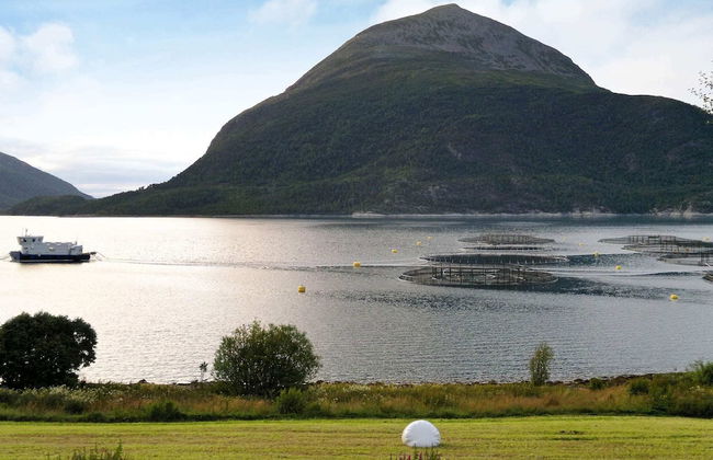 6 Person Holiday Home in Halsanaustan - Photo 38