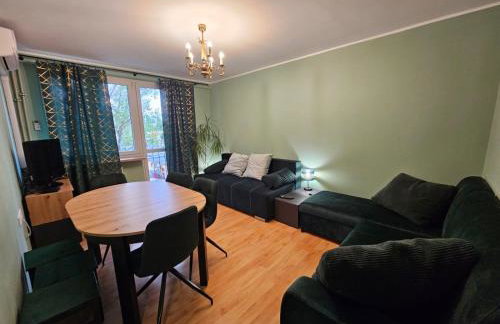 3 pokoje koło Parku przy Żwirki - Photo 6