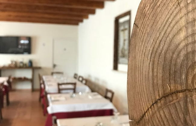 Agriturismo L'Ulivo - Foto 19