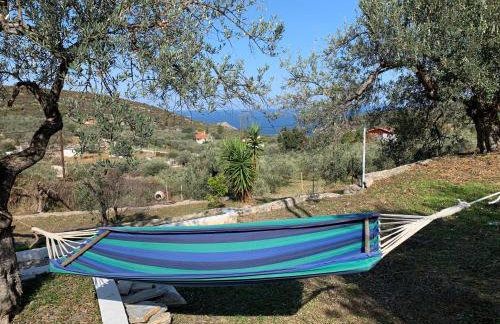 Olive Hill Private House - Foto 24