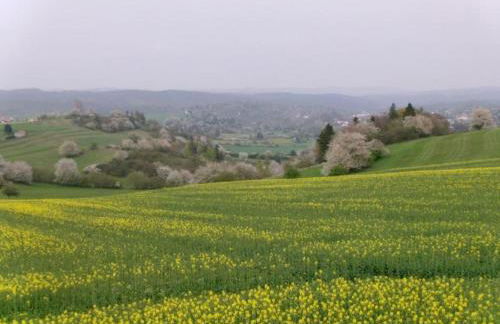 Peaceful Stay in Gehren - Foto 28