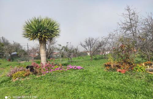 Casa El Sitio - Foto 32