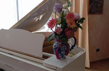 Villa Celestina, a 10 minuti dalle Terme - Foto 4