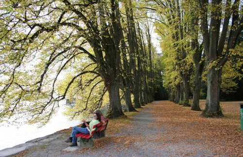 Ferienhof Schöngarten - Foto 5