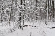 Ferienwohnung im Westerwald - Foto 28