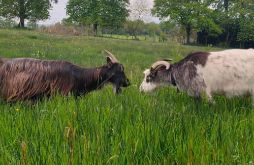Gite de charme à Guipry Messac - Foto 27