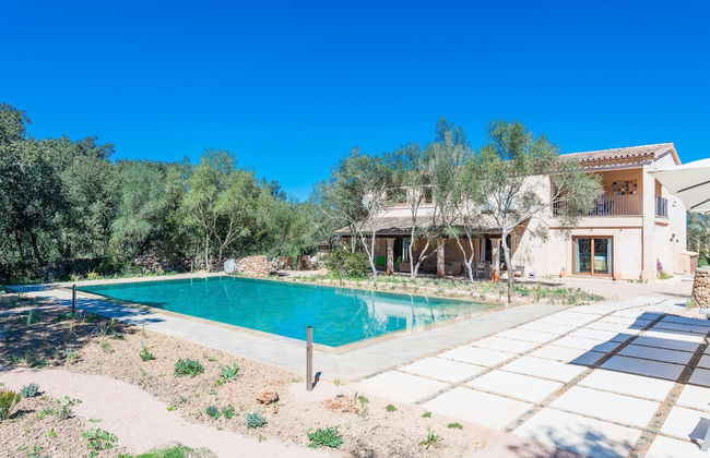 Can Madis in Costitx - Photo 3