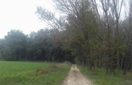 Hospital del Temple Casa Rural - Foto 26