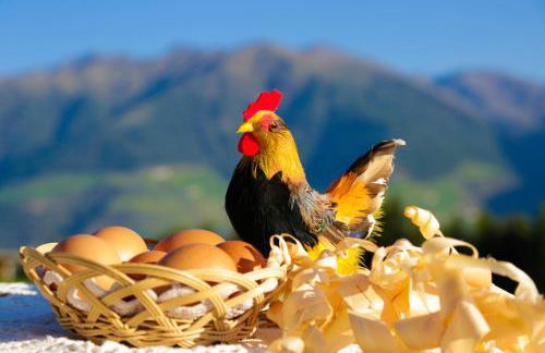 Bauernhof Mairing - Foto 39