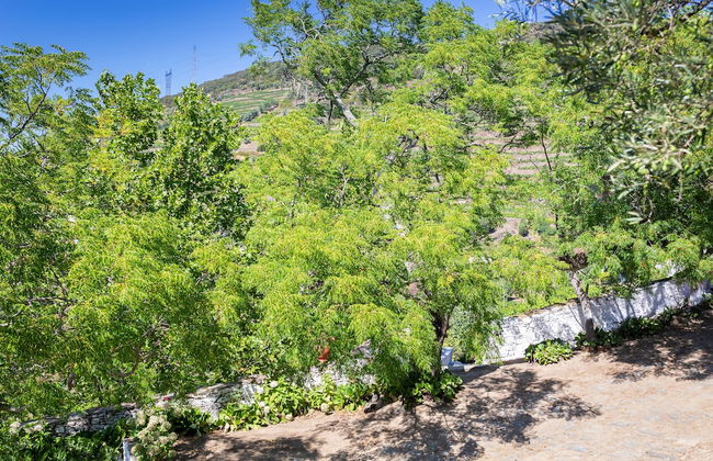 Quinta do Valdalágea - Foto 26