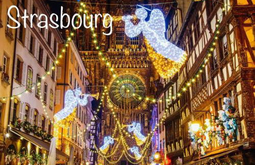 Sollaris Appartements RDC à 11km de Europa-Park - Photo 18