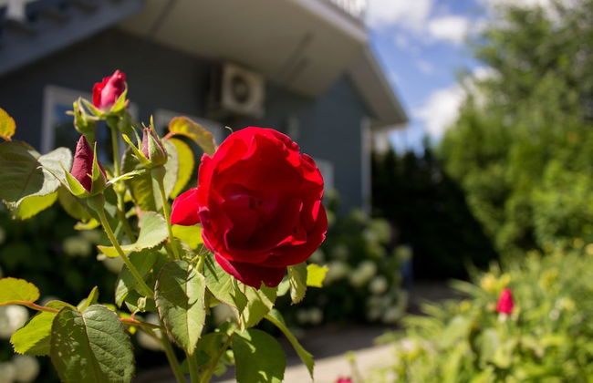 Appartements aux 4 roues - Foto 26