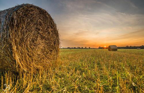 Villa Fleesenstrand - Foto 21